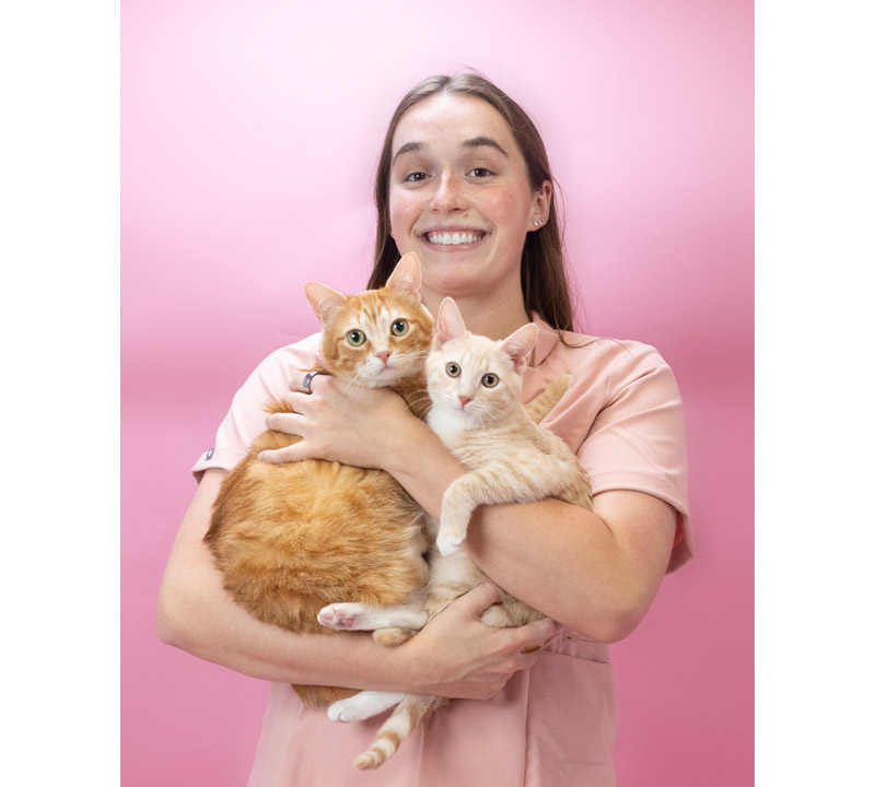 Jim Colwill, DVM DDS, Best Veterinarian in Long Beach, CA 90804