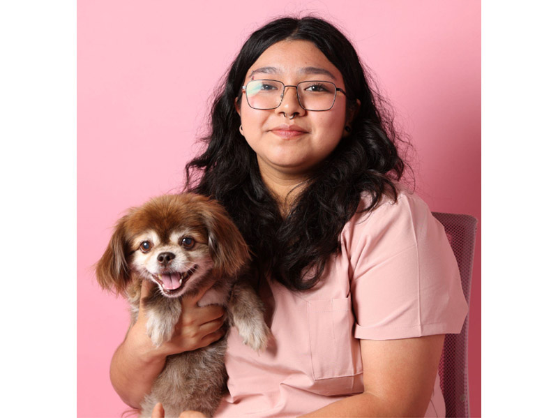 Jim Colwill, DVM DDS, Best Veterinarian in Long Beach, CA 90804