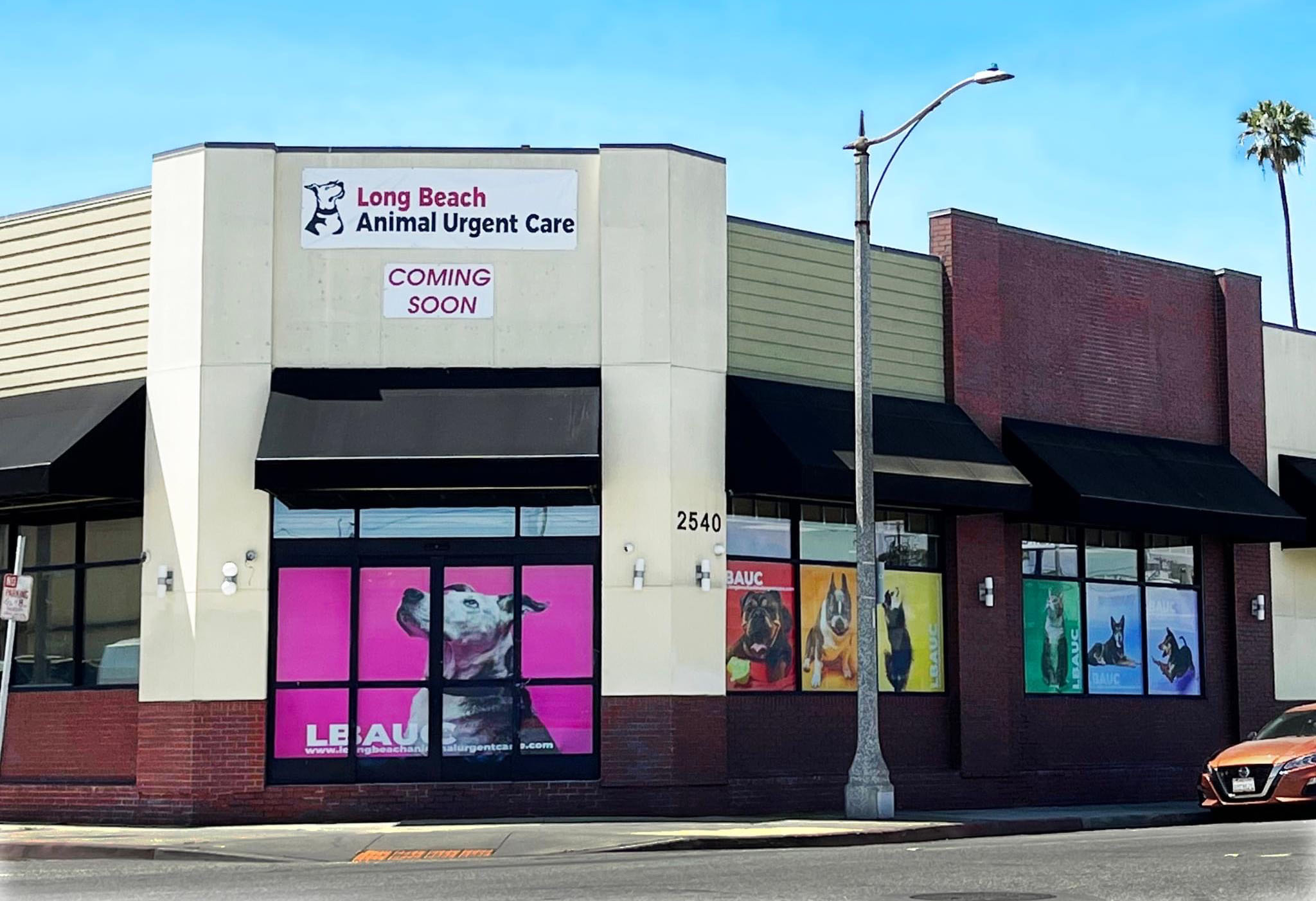 Animal Urgent Care In Long Beach CA Emergency Vet Services For Dogs 