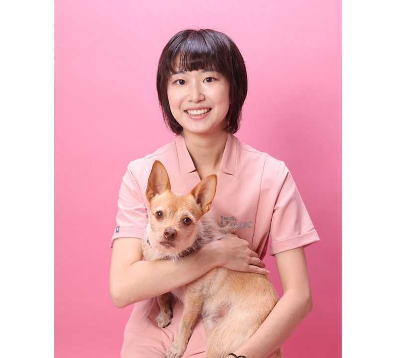 Jim Colwill, DVM DDS, Best Veterinarian in Long Beach, CA 90804