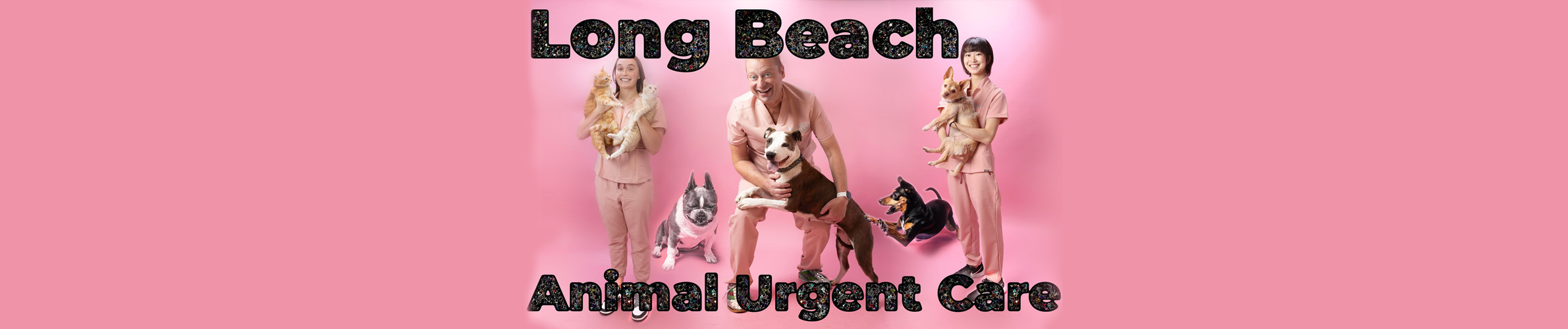 Long Beach Veterinarian